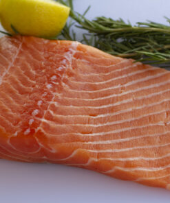 Salmon