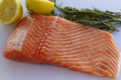 Salmon
