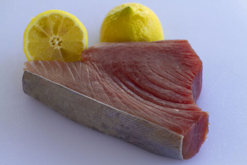 Bluefin Tuna