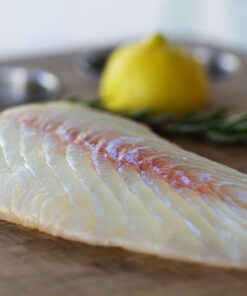 White Sea Bass