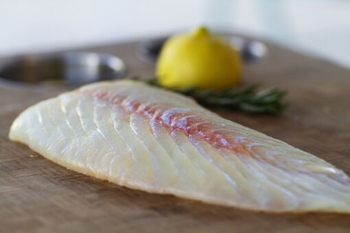 White Sea Bass