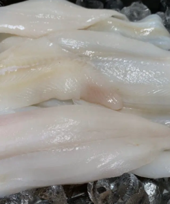 Fantail Sole