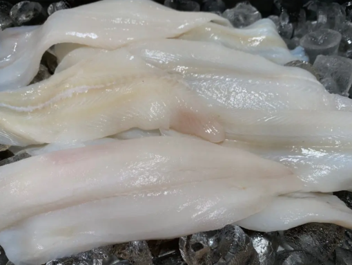 Fantail Sole